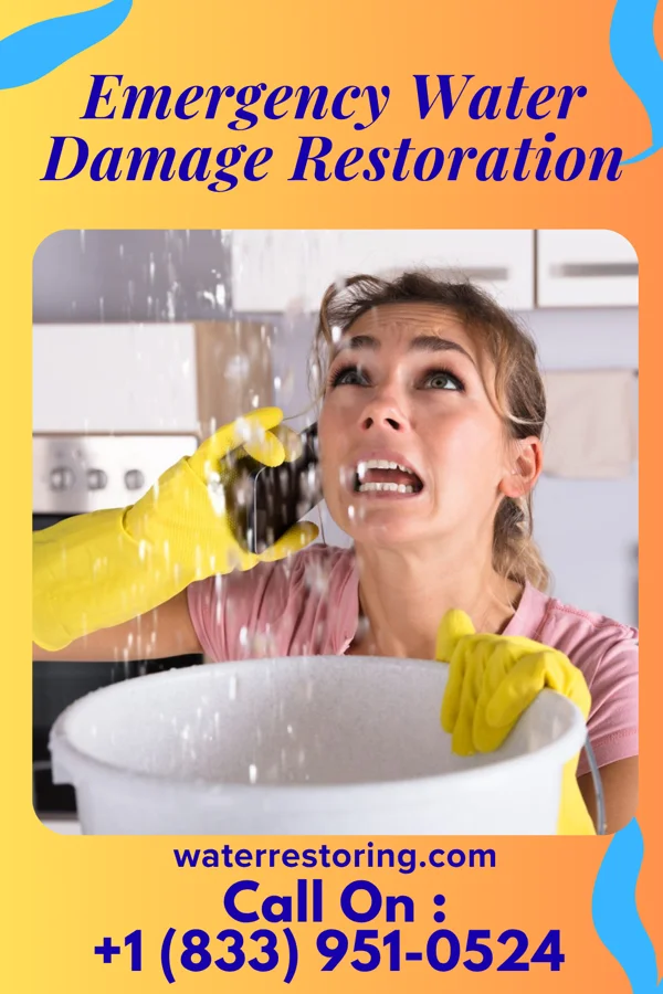 Emergency Water Damage Restoration in Fort Jesup, LA