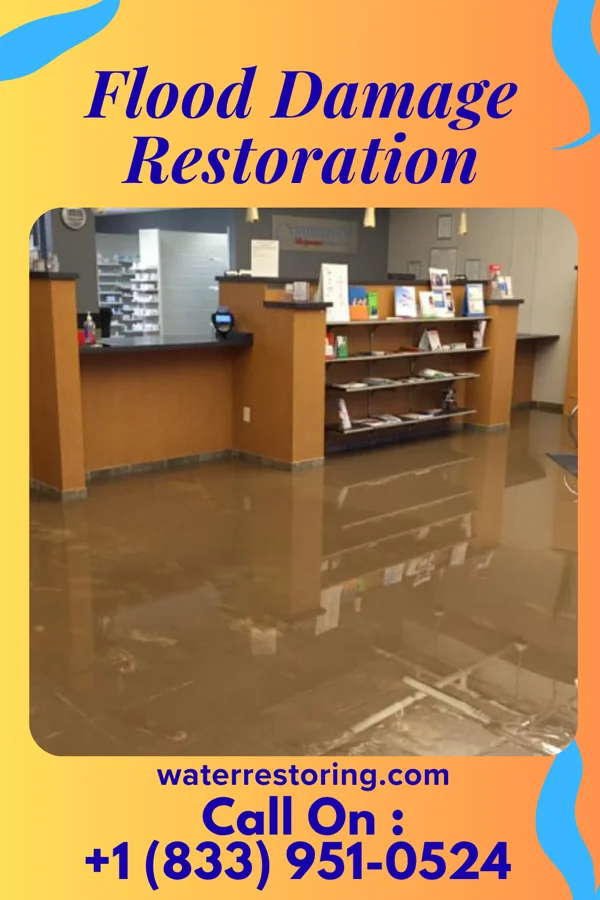 Flood Damage Restoration in Fort Jesup, LA