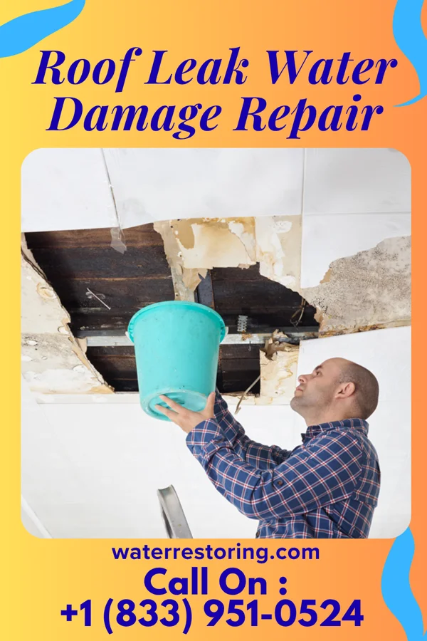 Roof Leak Water Damage Repair in Fort Jesup, LA