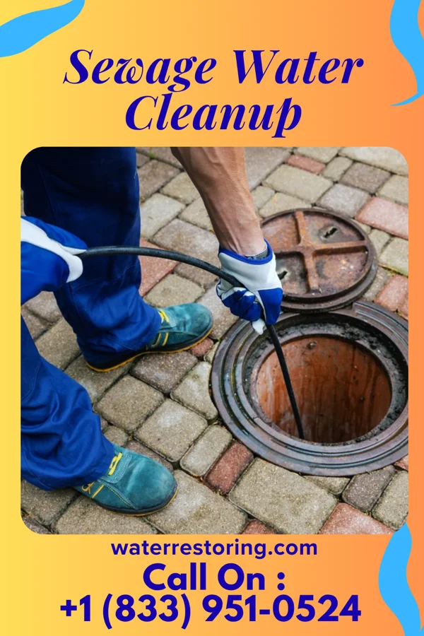 Sewage Water Cleanup in Fort Jesup, LA